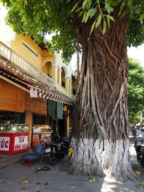 昼下がり,熱暑のホイアン, / Hoi An, daytime, in scorching heat P9130025