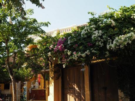 昼下がり,熱暑のホイアン, / Hoi An, daytime, in scorching heat P9130061