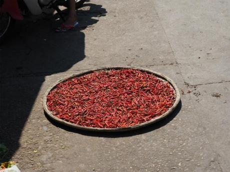 昼下がり,熱暑のホイアン, / Hoi An, daytime, in scorching heat P9130034