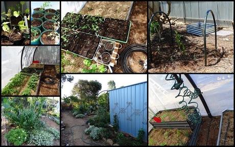 January Week 3...Old Chook House Revamp