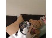 Ralph's Blogged Band Chart 24.1.15