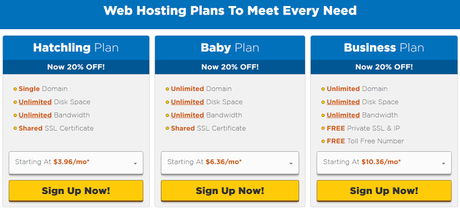 Hostgator Review Shared Hosting Plan : eAskme