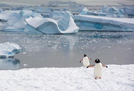 #myRTW: Antarctica with Linguist on the Move