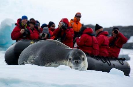 #myRTW: Antarctica with Linguist on the Move