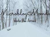 #MicroblogMonday Winter Here!