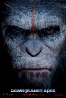 dawn