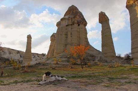 #myRTW: Love and Road in Cappadocia