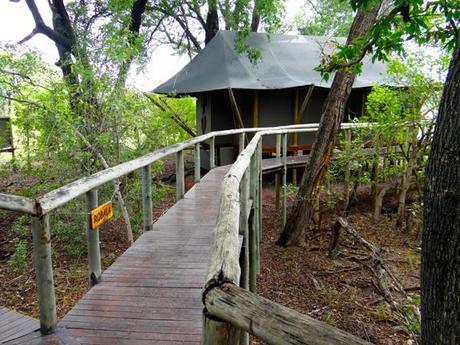 KRUGER:BOTSWANA-34