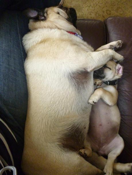 Two Kisses for Charley