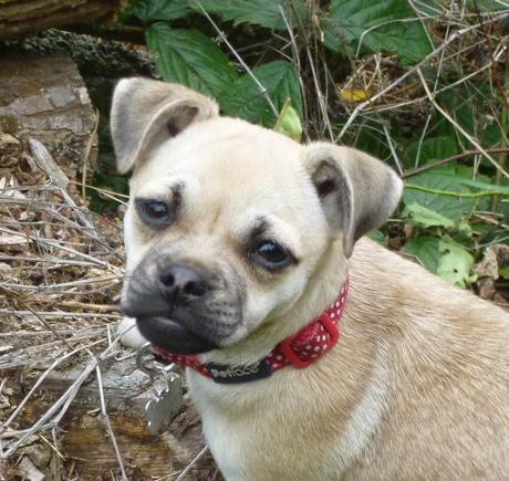 Two Kisses for Charley