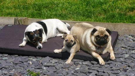 Two Kisses for Charley