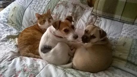 Two Kisses for Charley