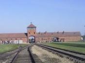 Auschwitz Liberation International Holocaust Rememberance