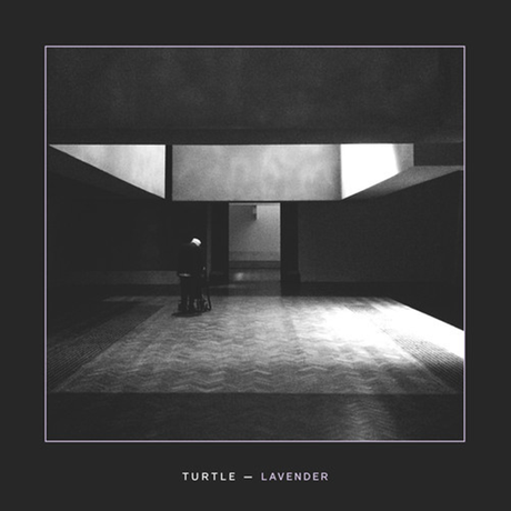 Single Review - Turtle - Lavender