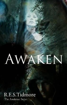 R.E.S. Tidmore Author Spotlight: Awaken, Bliss & Midnight's Dream