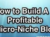 Built Micro-Niche Site Earning $200/Month From AdSense