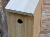 Building Nesting-box