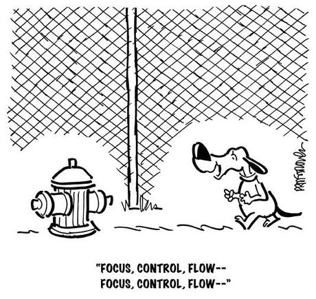 dog walking toward fire hydrant to urinate, saying focus, control, flow