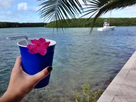 Florida-Keys-2015-Vacation-Ocean-Beach-Bay-Tropical-Islamorada-1