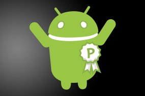 Do The Users Really Desire Android Silver - A Pure Android