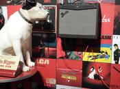 Pictorial Report NAMM 2015