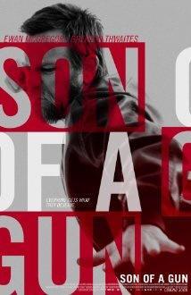son of a gun