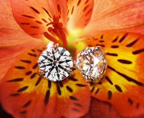 A Cut Above Diamond Studs from Whiteflash - Image shared by sarahb