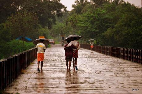 Exhilarating Monsoon Season in Kerala