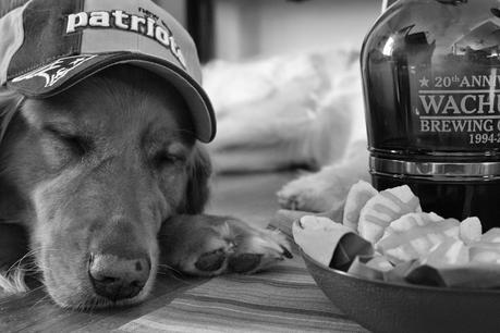 Dogs Game Ready For #SuperBowl