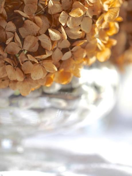 Paperwhite-and-Hydrangea-Arrangement