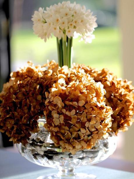 Paperwhite-and-Hydrangea-Arrangement