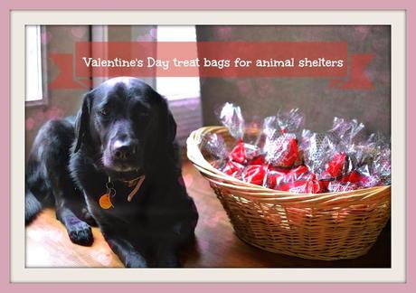 Valentine's Day treats for local animal shelters