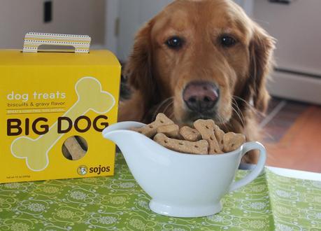 Big Bones for the Big Dog in Your Life