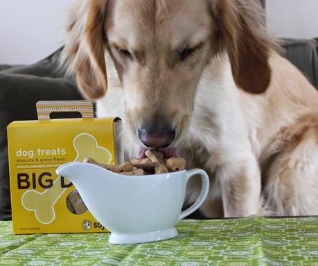 Big Bones for the Big Dog in Your Life