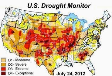 Cottonwoods Are Thirsty