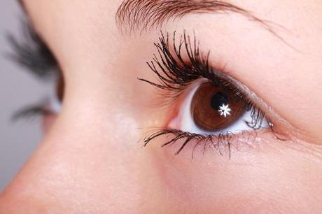 Eye lashes Eye brows dandruff removal