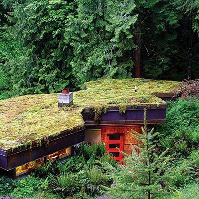 Outfit From Photography Contest: Finalists Announced Outfit From Photography Contest: Finalists Announced