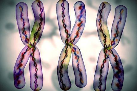 telomeres