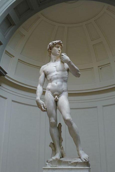 Michelangelo's David, 1501-1504, Galleria dell'Accademia (Florence)