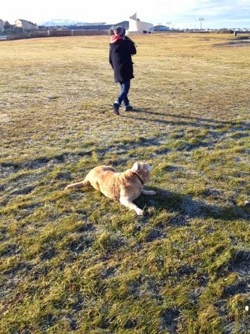 Morning walk