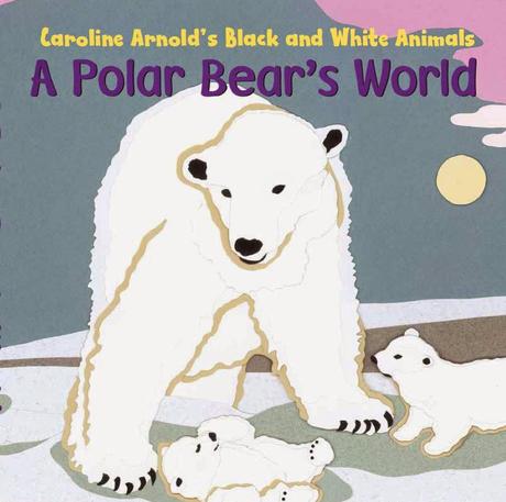 New BOARD BOOK: A Polar Bear’s World