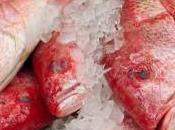 What Fish Poisoning Avoid
