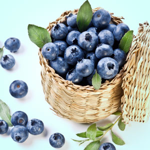 blueberry fragrance oil