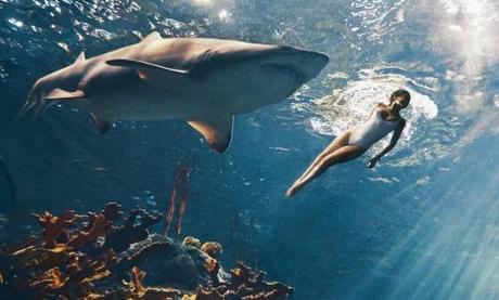 Rihanna Swims With Sharks In The Latest Issue Of Harper Baazar Rihanna Swims With Sharks In The Latest Issue Of Harper Baazar