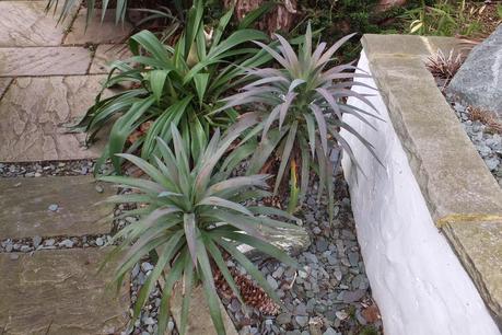 Winter Colour, Winter Interest