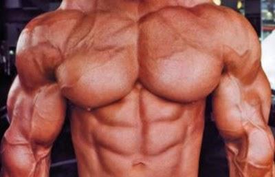 Bodybuilding Programs