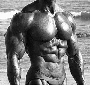 gain muscle mass