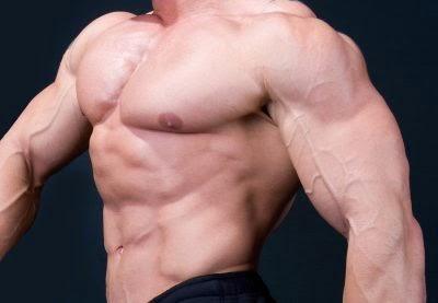 Building Muscle Mass