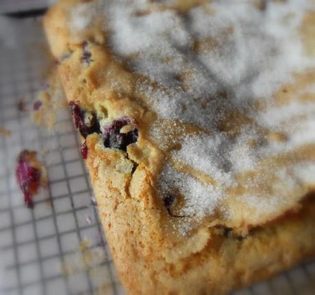 Blue Ribbon Blueberry Cake