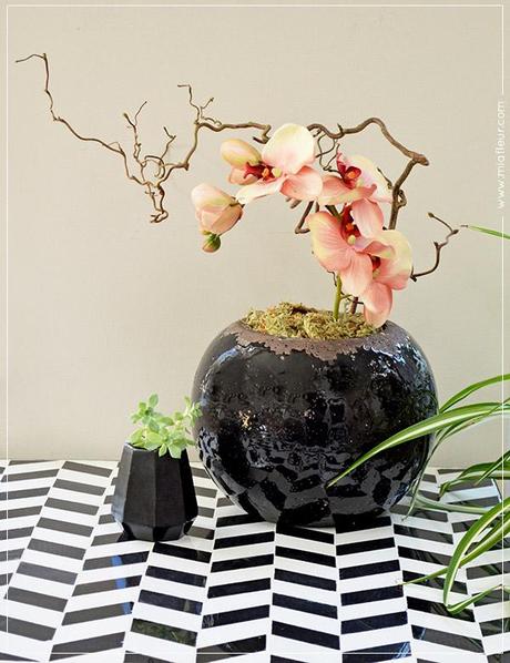 1 Product Styled 3 Ways: Rustic Plant Pot